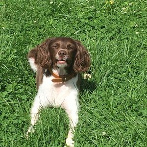 Meet your Posher, Cass